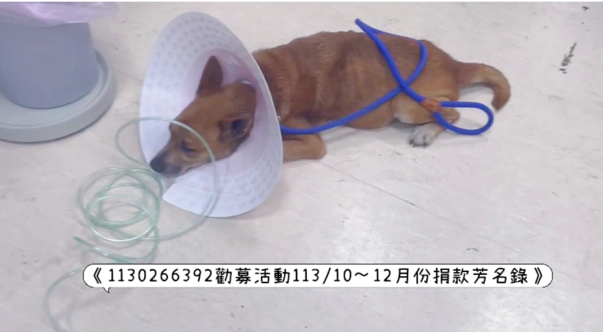 微信图片_20250715113543.jpg