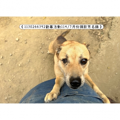 微信图片_20250715115502.jpg