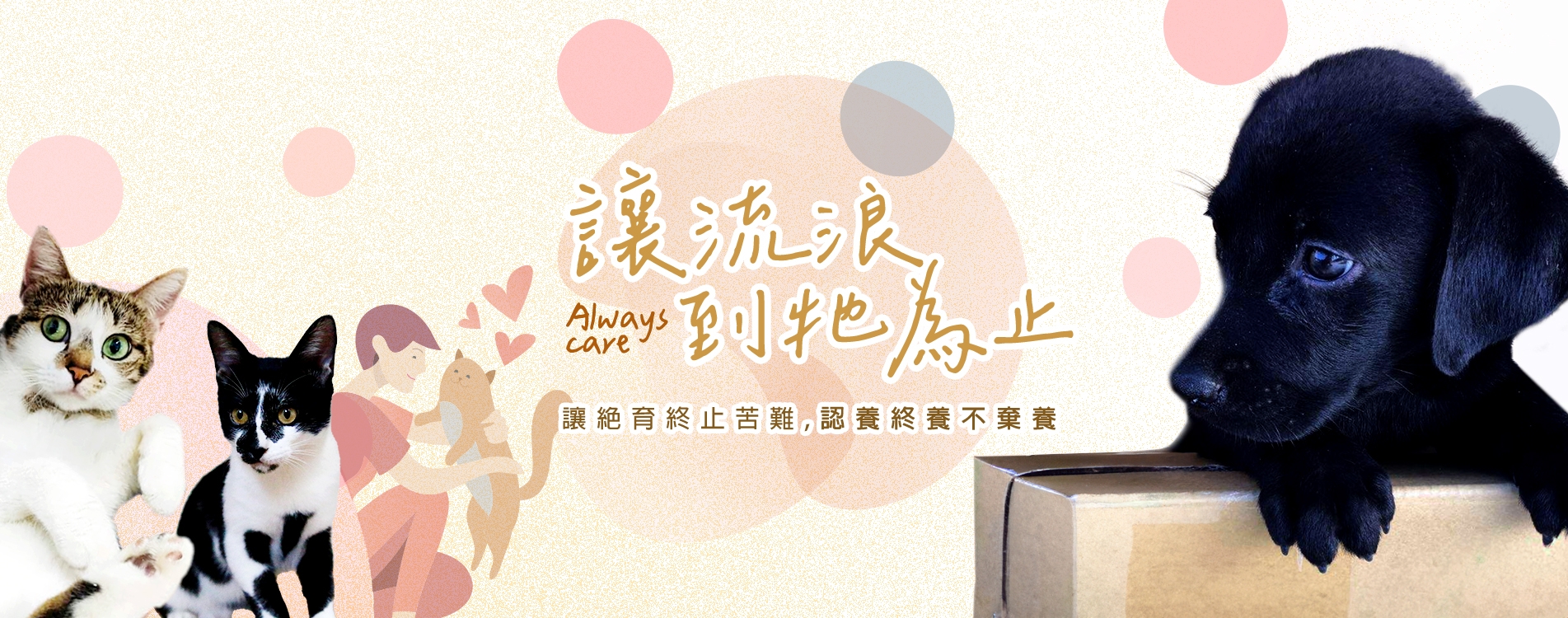 banner-index 改.jpg